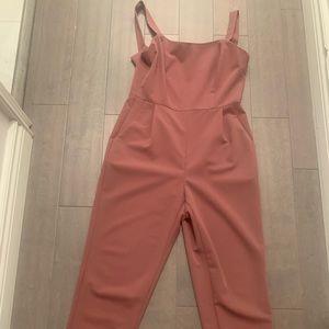 Birds of North America Dusty Rose jumpsuit